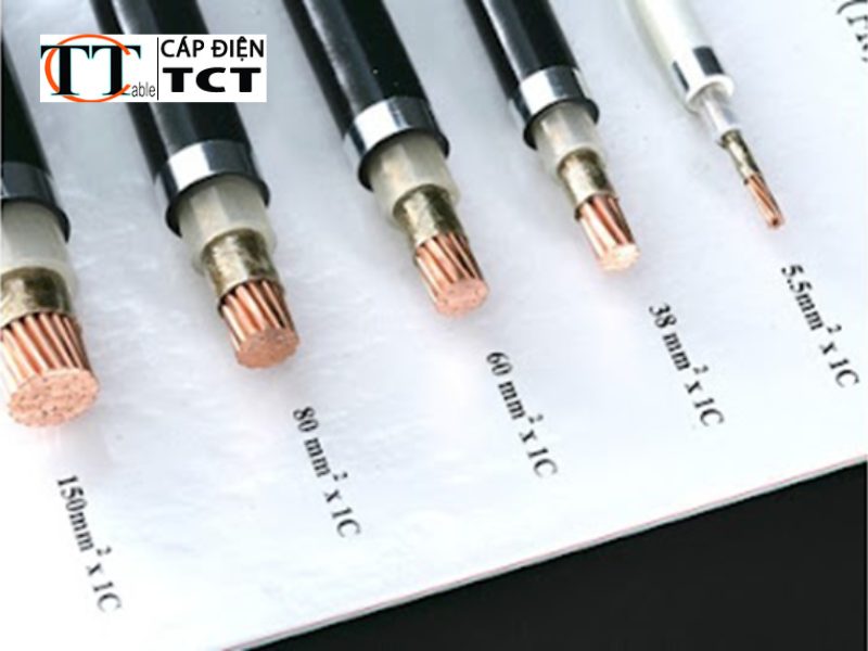 catalogue dây cáp điện taya