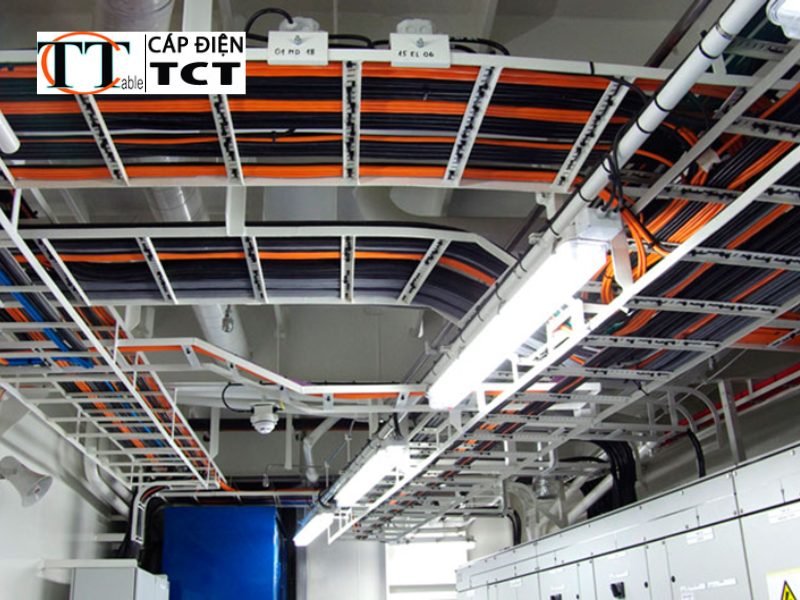 catalogue dây cáp điện taya