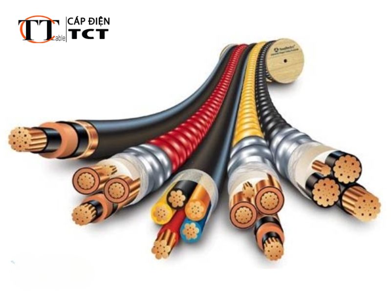 dây cáp điện Taya