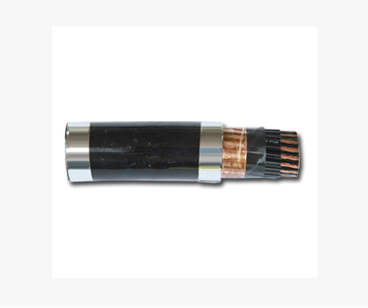 cáp điện chống nhiễu