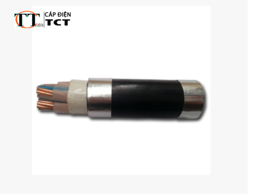 Cáp điện cách điện XLPE 3Cx10mm2