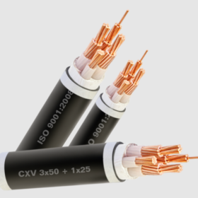 BẢNG GIÁ SẢN PHẨM CÁP HẠ THẾ VÀ DÂY DÂN DỤNG 1/6/2024