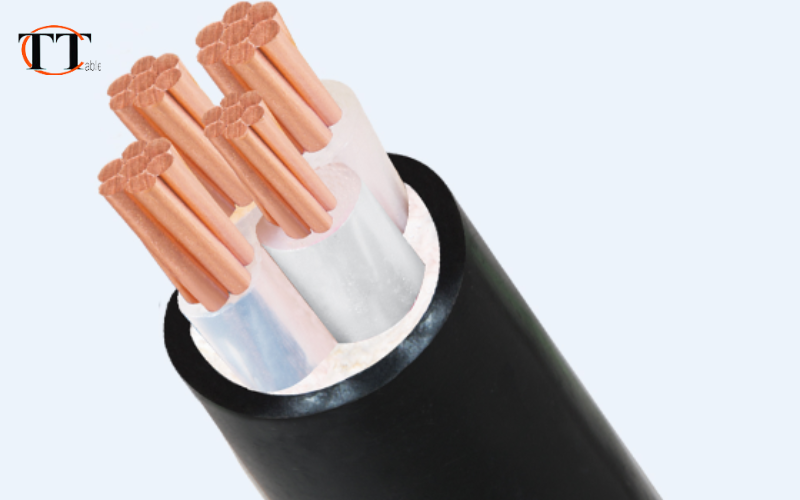 nhà phân phối cáp điện taya lớn 