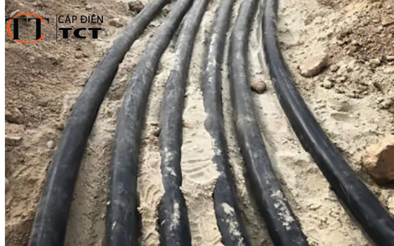 hướng dẫn lựa chọn dây & cáp hạ thế cadivi (2)