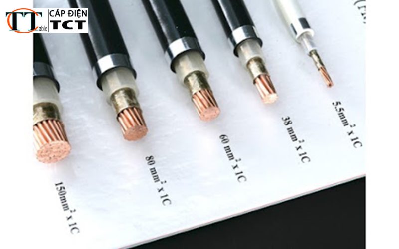 [CẬP NHẬT] Bảng giá cáp điện Taya mới nhất