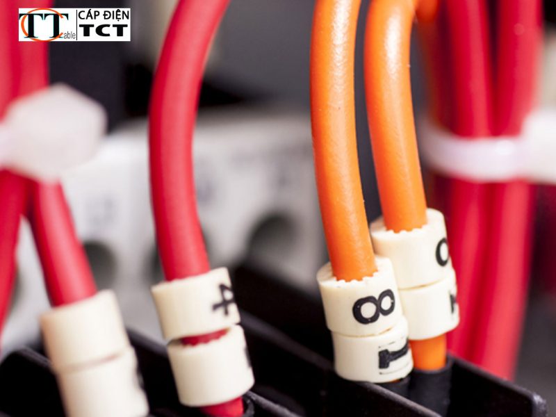 Đại lý cáp điện taya tại Long Biên uy tín