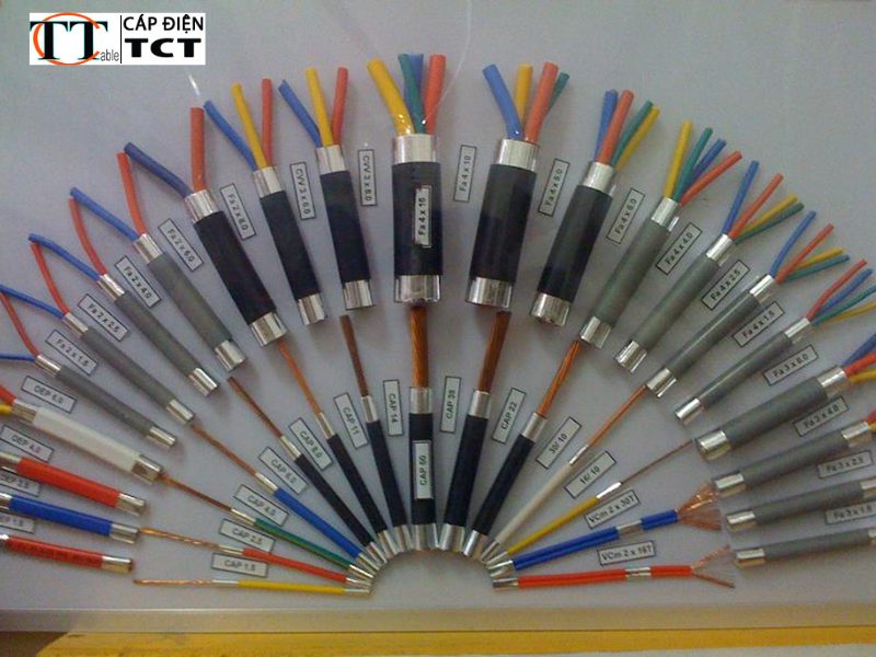 đại lý cáp điện taya tại Long Biên 