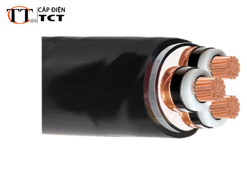 Dây cáp điện Taya dùng cho công trình công nghiệp 