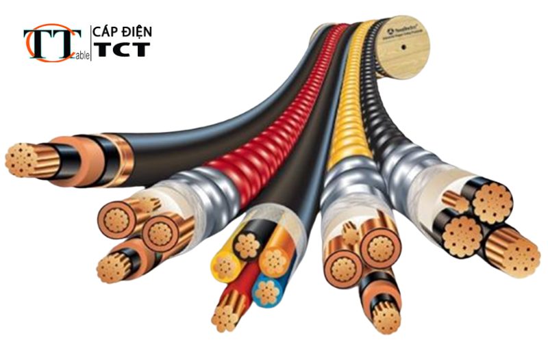 Nên dùng cáp điện Taya hay LS Vina cho hệ thống nhà xưởng 
