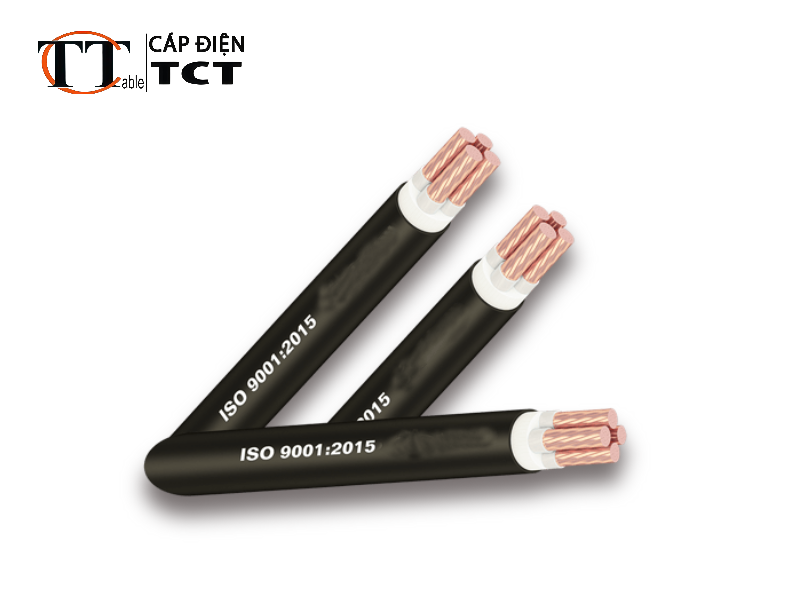 cáp trung thế LS-Vina CXV 24 kV