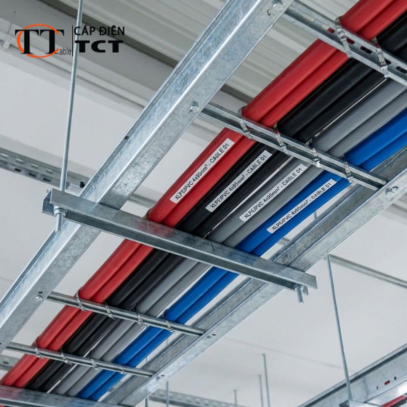 Cáp điện cho tủ điện tổng
