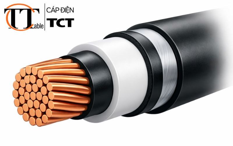 Công ty cáp điện uy tín tại Hà Nội