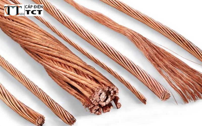 Đồng trần tiếp địa 50mm2